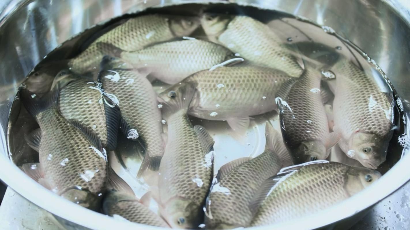 yL23411永利集团官网登录