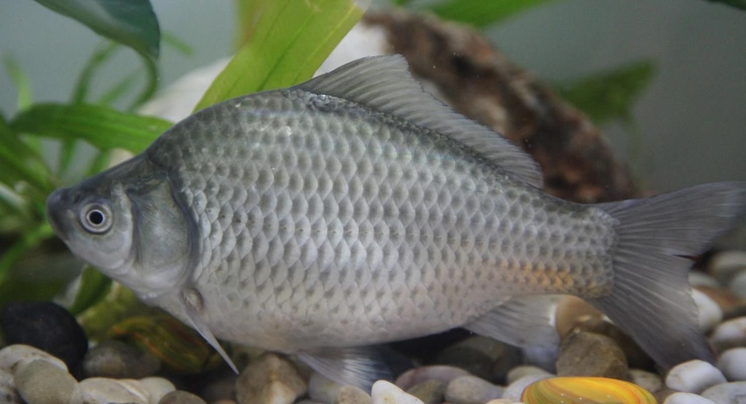 yL23411永利集团官网登录