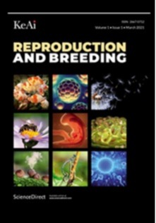 yL23411永利集团官网登录